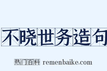 不晓世务造句是什么意思的图片